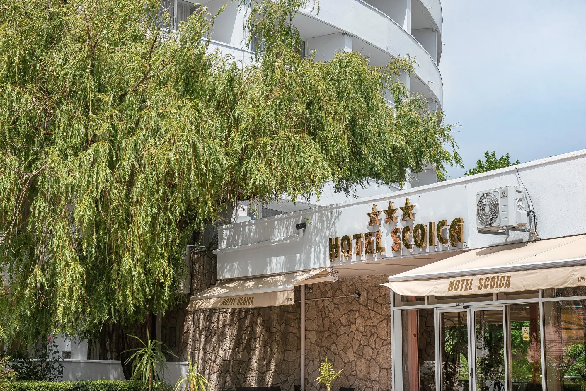 Sigla Hotel Scoica cu cele trei stele, încadrată de verdeață